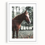 Farmhouse Wall Art Horse by Fence Print | Rustic Country Animal Decor