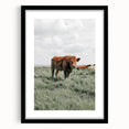 Rustic Farmhouse Wall Art of Grazing Cow – Country Style Farm Decor