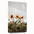 Farmhouse Wall Art Sunflower Field Print | Rustic Country Style Decor