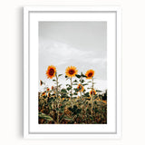 Farmhouse Wall Art Sunflower Field Print | Rustic Country Style Decor