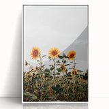 Farmhouse Wall Art Sunflower Field Print | Rustic Country Style Decor