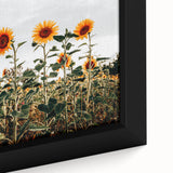 Farmhouse Wall Art Sunflower Field Print | Rustic Country Style Decor