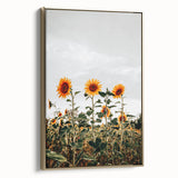 Farmhouse Wall Art Sunflower Field Print | Rustic Country Style Decor