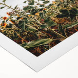 Farmhouse Wall Art Sunflower Field Print | Rustic Country Style Decor
