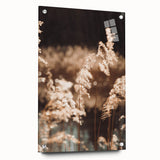 Farmhouse Wall Art of Sunlit Wheat Stalks – Rustic Country Style Decor