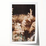 Farmhouse Wall Art of Sunlit Wheat Stalks – Rustic Country Style Decor
