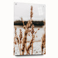 Farmhouse Wall Art – Rustic Wheat Field Close-Up – Country Style Decor