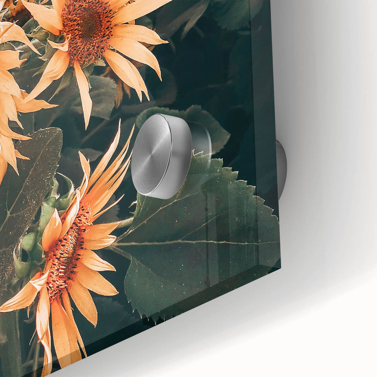 Farmhouse Wall Art Sunflowers in Bloom | Rustic Country Style Decor