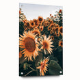 Farmhouse Wall Art Sunflowers in Bloom | Rustic Country Style Decor