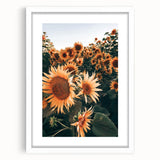 Farmhouse Wall Art Sunflowers in Bloom | Rustic Country Style Decor
