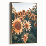 Farmhouse Wall Art Sunflowers in Bloom | Rustic Country Style Decor