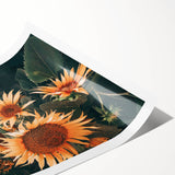 Farmhouse Wall Art Sunflowers in Bloom | Rustic Country Style Decor