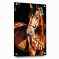 Farmhouse Wall Art – Elegant Horse Portrait – Rustic Country Decor