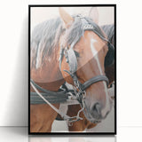Country Horse Portrait Art - Rustic Farmhouse Wall Decor Print