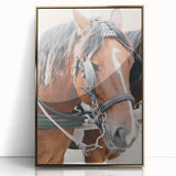 Country Horse Portrait Art - Rustic Farmhouse Wall Decor Print