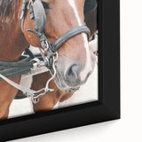 Country Horse Portrait Art - Rustic Farmhouse Wall Decor Print