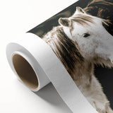 Charming Horse Duo Art - Rustic Farmhouse Wall Decor Print