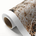 Farmhouse Wall Art Dry Grass Close-Up | Rustic Nature-Inspired Decor