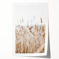 Wild Grass Field Art - Rustic Farmhouse Nature Wall Decor Print