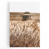 Golden Wheat Field Art - Rustic Farmhouse Wall Decor Print