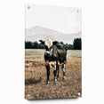 Majestic Cow in Pasture - Rustic Farmhouse Wall Art Print