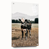 Majestic Cow in Pasture - Rustic Farmhouse Wall Art Print