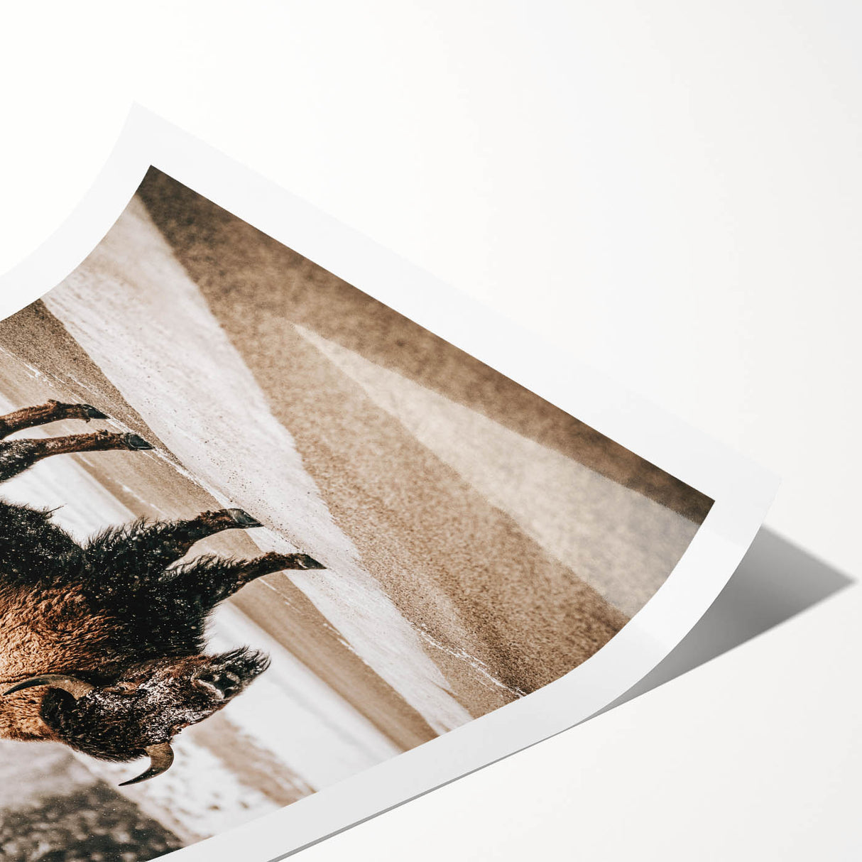 Farmhouse Wall Art – Majestic Bison in Winter Landscape for Rustic Homes