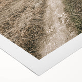 Farmhouse Wall Art – Rustic Path to Barn for Country Style Decor