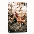 Farmhouse Wall Art – Rustic Chicken Scene for Country Style Decor