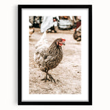 Farmhouse Wall Art – Rustic Chicken in Farmyard Scene for Country Decor