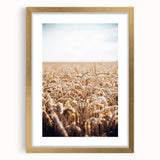 Farmhouse Wall Art Wheat Field Print | Rustic Country Harvest Decor