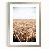 Farmhouse Wall Art Wheat Field Print | Rustic Country Harvest Decor