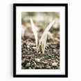 Farmhouse Wall Art: Rustic Country Charm with New Growth, Vintage Style