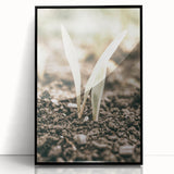 Farmhouse Wall Art: Rustic Country Charm with New Growth, Vintage Style