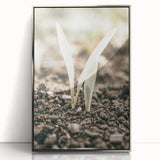 Farmhouse Wall Art: Rustic Country Charm with New Growth, Vintage Style