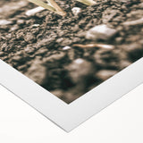 Farmhouse Wall Art: Rustic Country Charm with New Growth, Vintage Style