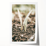 Farmhouse Wall Art: Rustic Country Charm with New Growth, Vintage Style