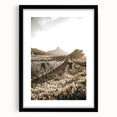 Farmhouse Wall Art: Sunlit Vineyard Rows, Rustic Country Charm Decor