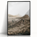 Farmhouse Wall Art: Sunlit Vineyard Rows, Rustic Country Charm Decor