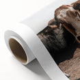 Farmhouse Wall Art: Rustic Cow Portrait, Country Livestock Decor