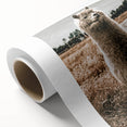 Farmhouse Alpaca in Field Art – Rustic Country Style Wall Decor