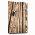Farmhouse Wall Art - Aerial View of Rustic Wheat Field with Harvester