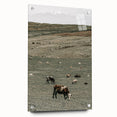 Farmhouse Wall Art - Rolling Hills with Grazing Cattle for Rustic Decor