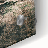 Farmhouse Wall Art - Rustic Barn and Pathway Under Trees for Country Decor
