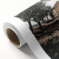 Farmhouse Wall Art - Rustic Barn and Pathway Under Trees for Country Decor