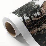Farmhouse Wall Art - Rustic Barn and Pathway Under Trees for Country Decor
