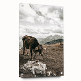 Mountain Cow Grazing Wall Art | Rustic Farmhouse Decor for Country Homes