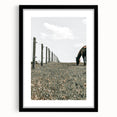 Peaceful Horse Grazing Wall Art | Rustic Farmhouse Decor for Country Homes