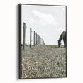 Peaceful Horse Grazing Wall Art | Rustic Farmhouse Decor for Country Homes