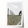 Peaceful Horse Grazing Wall Art | Rustic Farmhouse Decor for Country Homes